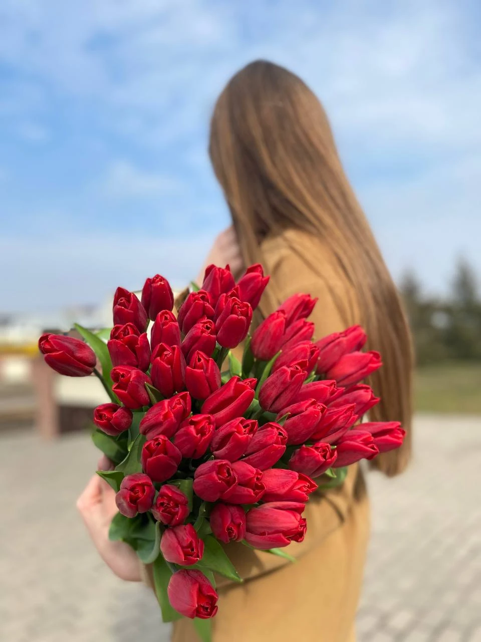 Букет из красных тюльпанов сорта Стронг