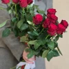 Роза Родос 60 см