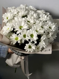 51 ромашка в упаковке