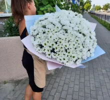 Букеты из ромашки