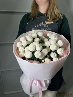 Букет "Ньютончик"