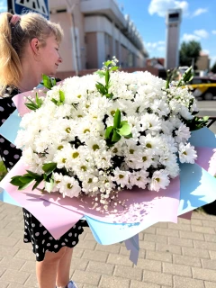 Букет из 201 ромашки с зеленью