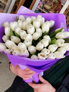 Букет из 51 белого тюльпана